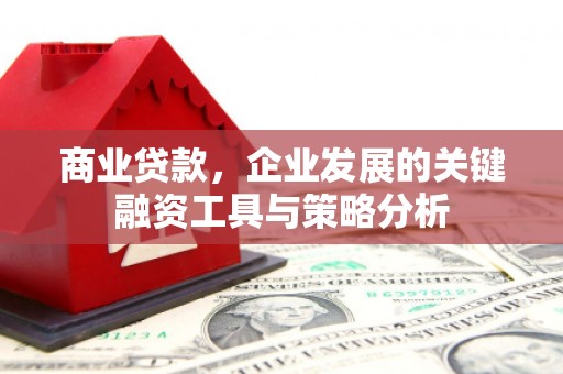 九龙城商业贷款，企业发展的关键融资工具与策略分析