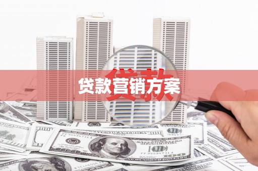 九龙城贷款营销方案