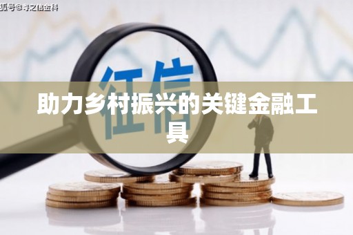 九龙城助力乡村振兴的关键金融工具
