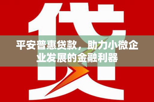 九龙城平安普惠贷款，助力小微企业发展的金融利器
