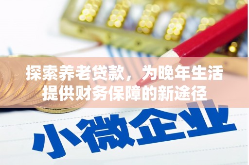 九龙城探索养老贷款，为晚年生活提供财务保障的新途径