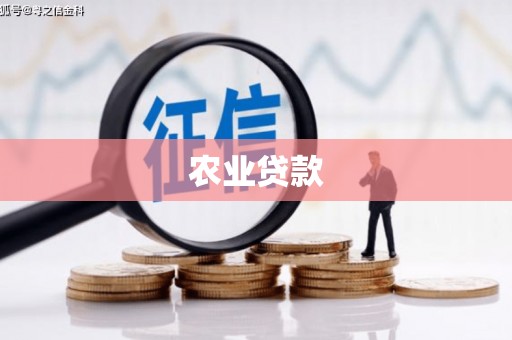 九龙城农业贷款