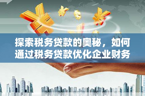 九龙城探索税务贷款的奥秘，如何通过税务贷款优化企业财务