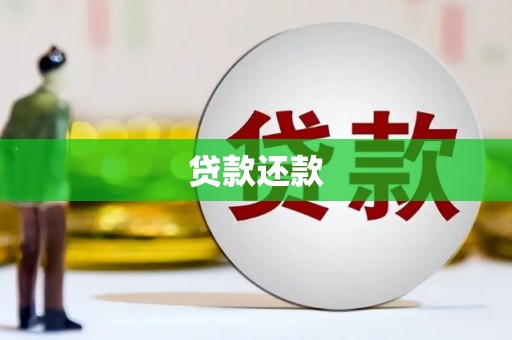 九龙城贷款还款