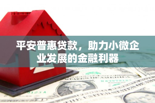 九龙城平安普惠贷款，助力小微企业发展的金融利器
