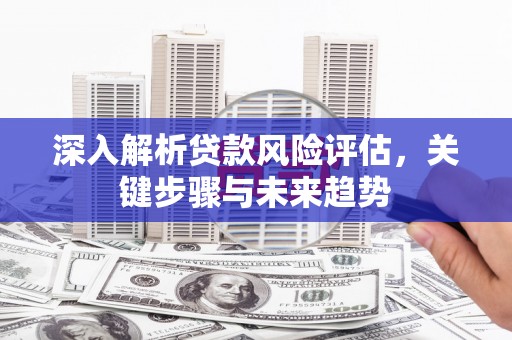 九龙城深入解析贷款风险评估，关键步骤与未来趋势