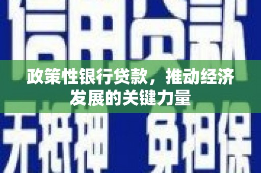 九龙城政策性银行贷款，推动经济发展的关键力量
