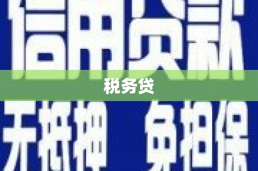 九龙城税务贷