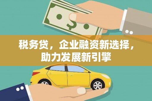九龙城税务贷，企业融资新选择，助力发展新引擎