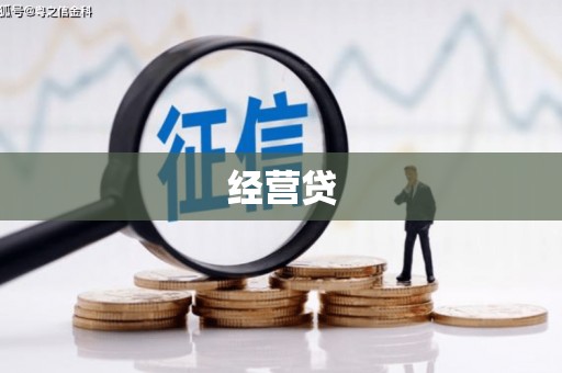 九龙城经营贷