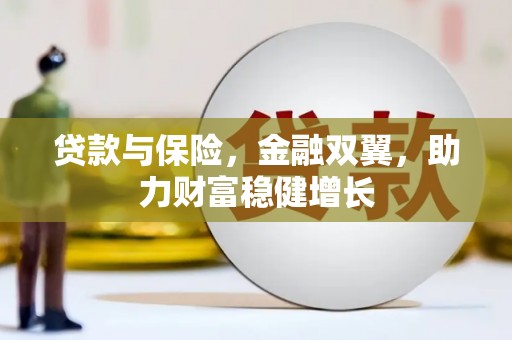 九龙城贷款与保险，金融双翼，助力财富稳健增长