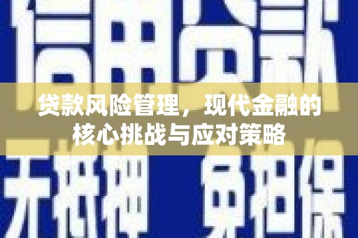 九龙城贷款风险管理，现代金融的核心挑战与应对策略