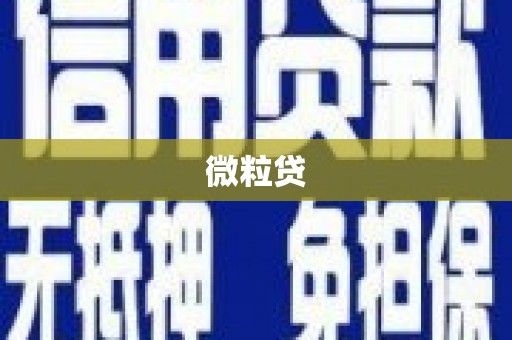 九龙城微粒贷