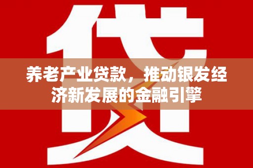 九龙城养老产业贷款，推动银发经济新发展的金融引擎