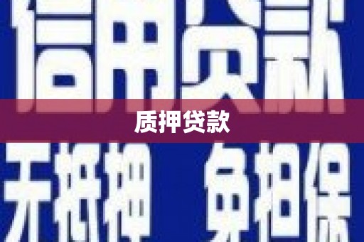 九龙城质押贷款
