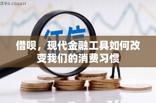 九龙城借呗，现代金融工具如何改变我们的消费习惯