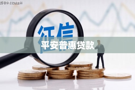 九龙城平安普惠贷款