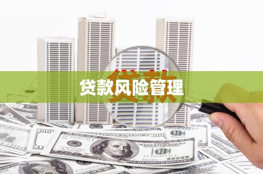 九龙城贷款风险管理