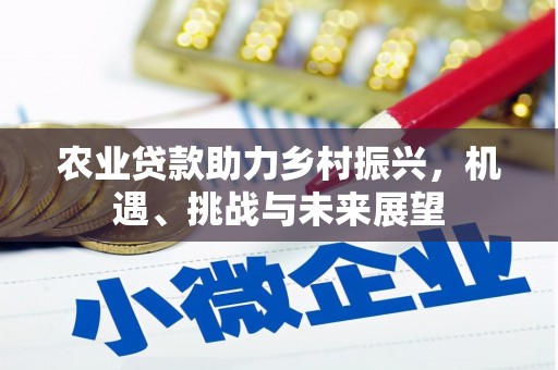 九龙城农业贷款助力乡村振兴，机遇、挑战与未来展望