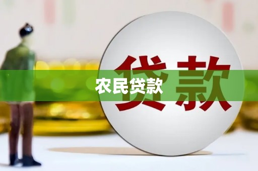 九龙城农民贷款