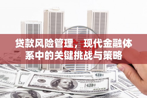 九龙城贷款风险管理，现代金融体系中的关键挑战与策略