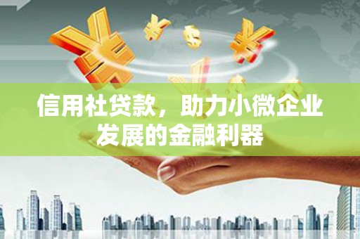 九龙城信用社贷款，助力小微企业发展的金融利器