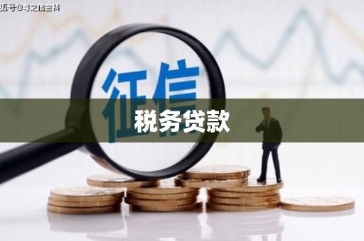 九龙城税务贷款