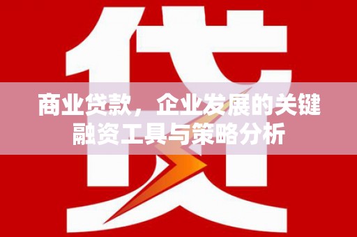九龙城商业贷款，企业发展的关键融资工具与策略分析