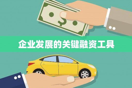 九龙城企业发展的关键融资工具