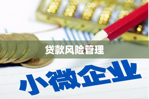 九龙城贷款风险管理