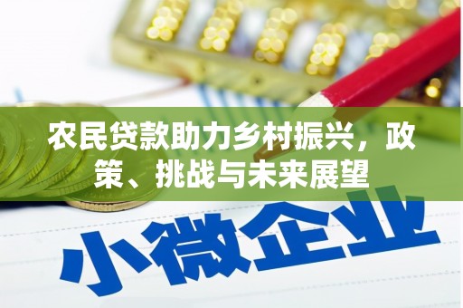 九龙城农民贷款助力乡村振兴，政策、挑战与未来展望
