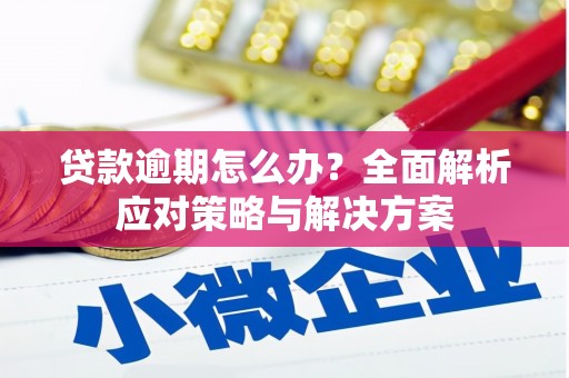 九龙城贷款逾期怎么办？全面解析应对策略与解决方案