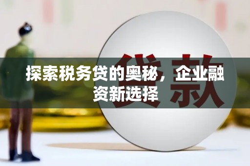 九龙城探索税务贷的奥秘，企业融资新选择