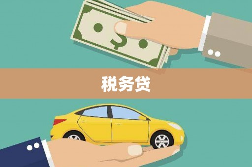九龙城税务贷