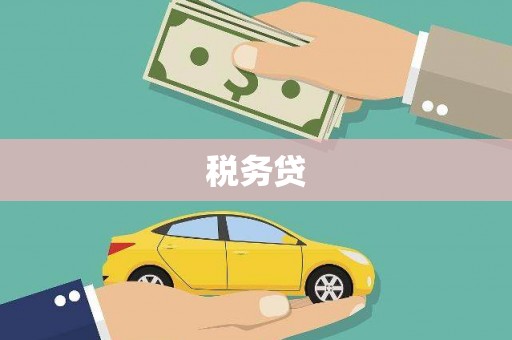 九龙城税务贷