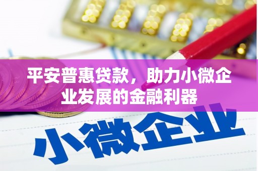 九龙城平安普惠贷款，助力小微企业发展的金融利器
