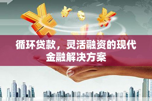 九龙城循环贷款，灵活融资的现代金融解决方案