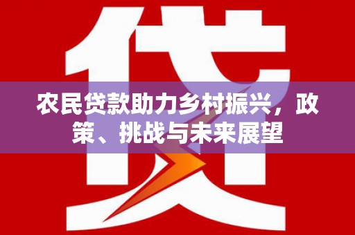 九龙城农民贷款助力乡村振兴，政策、挑战与未来展望