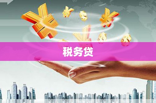 九龙城税务贷
