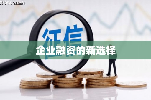 九龙城企业融资的新选择