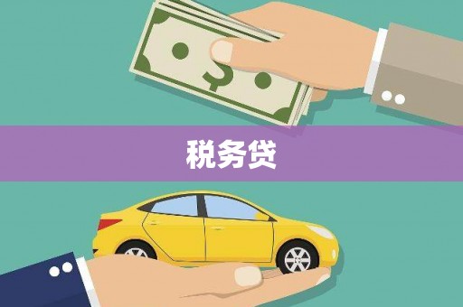 九龙城税务贷