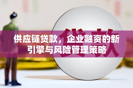 九龙城供应链贷款，企业融资的新引擎与风险管理策略
