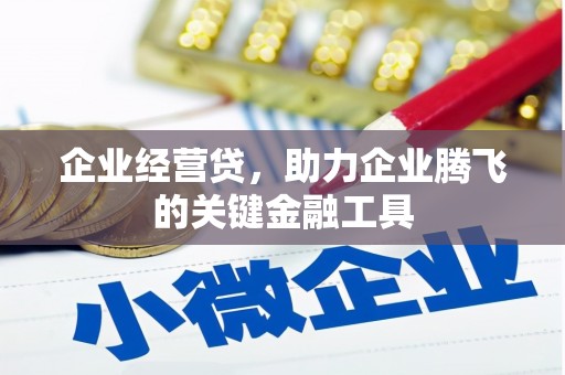 九龙城企业经营贷，助力企业腾飞的关键金融工具