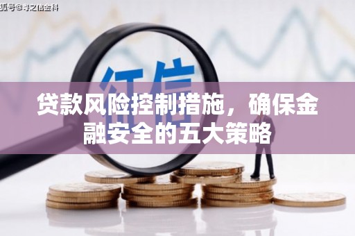 九龙城贷款风险控制措施，确保金融安全的五大策略