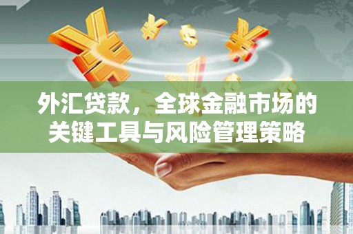 九龙城外汇贷款，全球金融市场的关键工具与风险管理策略