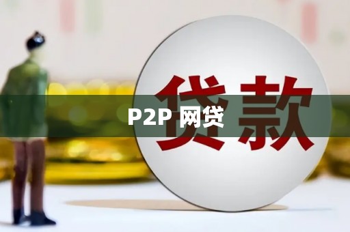 九龙城P2P 网贷