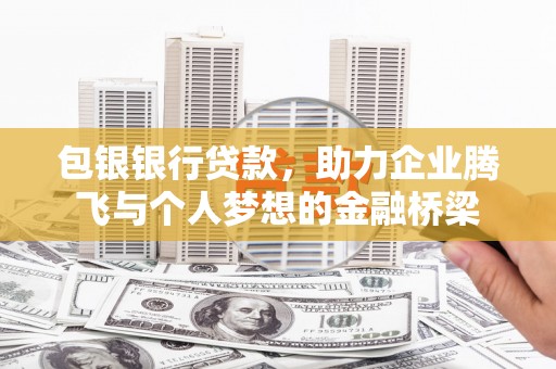 九龙城包银银行贷款，助力企业腾飞与个人梦想的金融桥梁