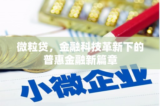 九龙城微粒贷，金融科技革新下的普惠金融新篇章
