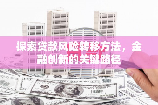 九龙城探索贷款风险转移方法，金融创新的关键路径