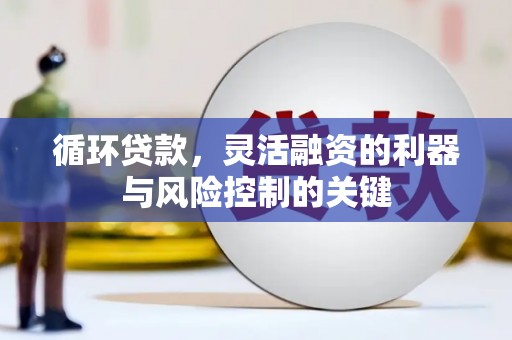 九龙城循环贷款，灵活融资的利器与风险控制的关键